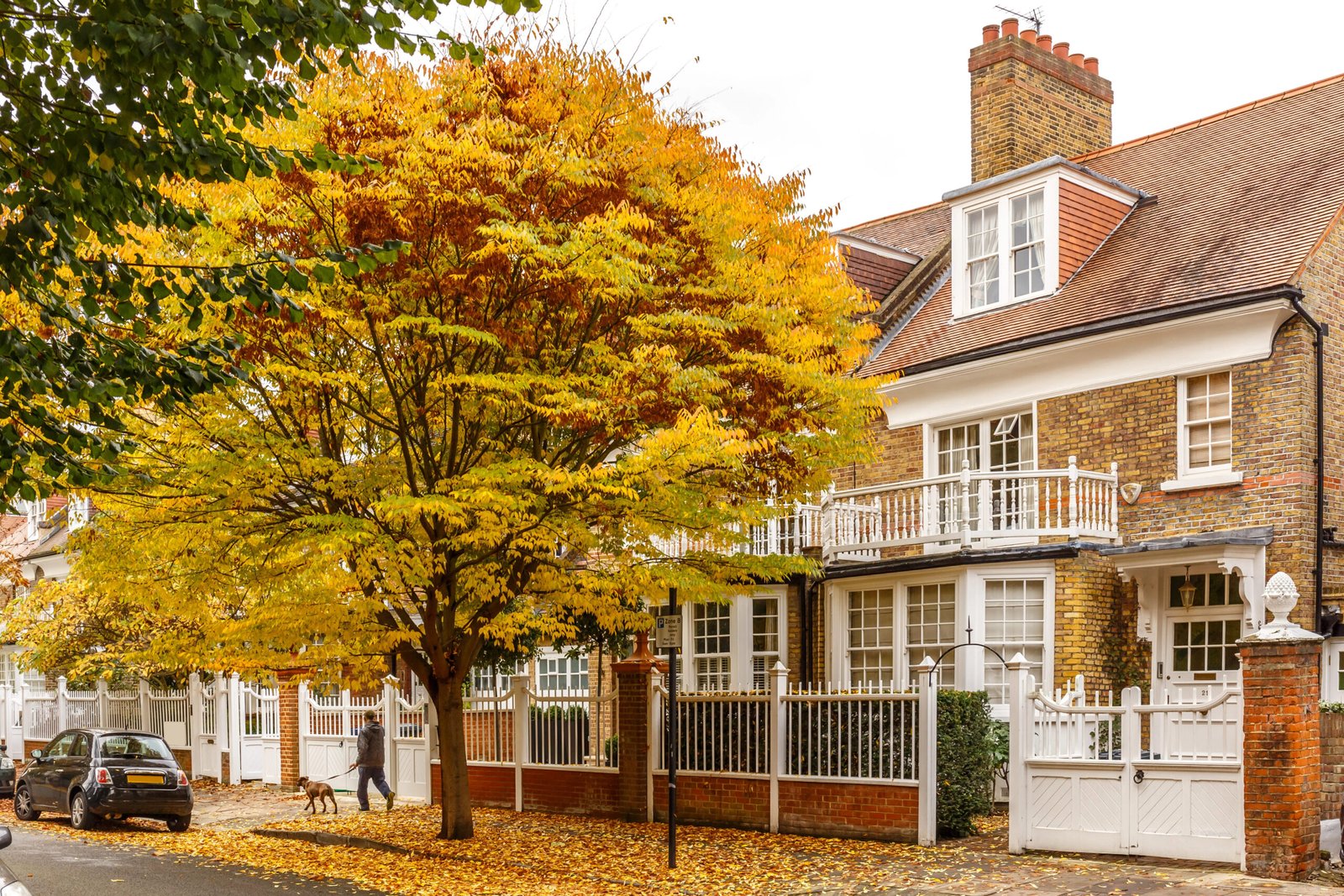 Protecting Your Investment Essential Autumn Maintenance for Wooden Windows 1 Depositphotos 434474096 XL scaled